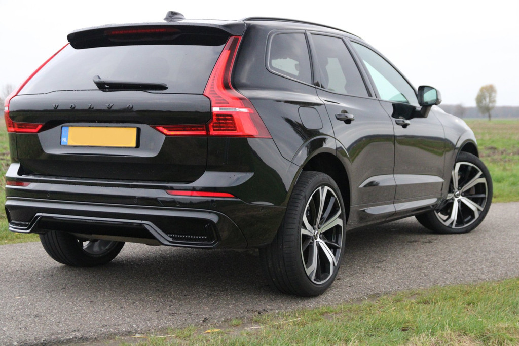 41419840-3.jpg